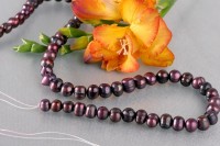 P400 Echter Süßwasser-Perlen-Strang barrock 7-8mm 39cm lang offen Tahiti Black Violett P400 Echter Süßwasser-Perlen-Strang barrock 7-8mm 39cm lang offen Tahiti Black Violett