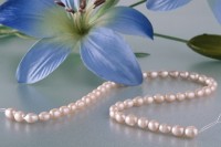 HQ007 Echter Süßwasser-Perlen-Strang oval 7-8mm 38cm lang offen beige HQ007 Echter Süßwasser-Perlen-Strang oval 7-8mm 38cm lang offen beige