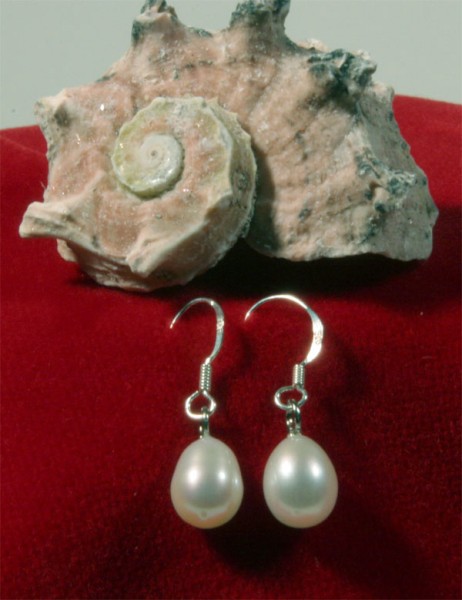 Perlenohrringe Zucht-Perlen-Ohrringe weiss, Hänger 925 Silber NEUWARE