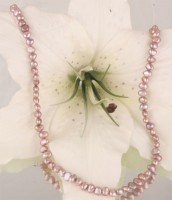 E120 Echter Süßwasser-Perlen-Strang irregular 5-6mm 38cm lang offen pastellorange E120 Echter Süßwasser-Perlen-Strang irregular 5-6mm 38cm lang offen pastellorange