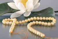 P068 Echter Süßwasser-Perlen-Strang oval 7-8mm 39cm lang offen gelb P068 Echter Süßwasser-Perlen-Strang oval 7-8mm 39cm lang offen gelb