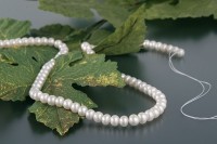 P048 Echter Süßwasser-Perlen-Strang buttonshape 5-6mm offen weiß P048 Echter Süßwasser-Perlen-Strang buttonshape 5-6mm offen weiß