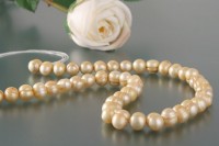 P128 Echter Süßwasser-Perlen-Strang barock 7-8mm 38cm lang offen softgold P128 Echter Süßwasser-Perlen-Strang barock 7-8mm 38cm lang offen softgold